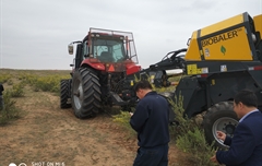 2019年，內蒙奈吉牧草有限公司，采購一臺Anderson檸條平茬機